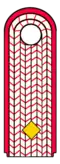 Brandmeister/-in