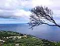 Blick auf Fajã da Praia do Norte