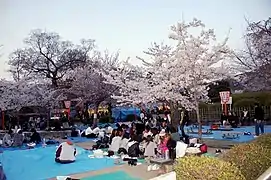 Picknick