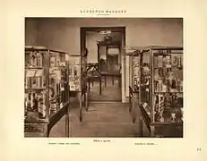 Schlangen- und Alligatorenpräparate