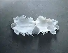 2008, silicone, 23 × 62 × 144 cm