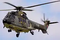 Super Puma Display Team