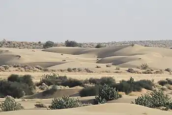 Desert-Nationalpark