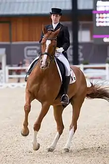 Dressur, CHIO Aachen 2015