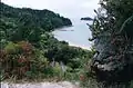 Ein Küstenabschnitt im Abel-Tasman-Nationalpark