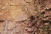Am steilen Hang neben dem Schloss rutschen gelöste Sandsteinplatten abwärts