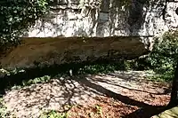 Abri de Cro-Magnon