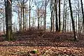 Prähistorisches Hügelgrab auf dem Höhenrücken Beurenkern bei Treis-Karden