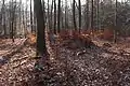 Prähistorisches Hügelgrab auf dem Höhenrücken Beurenkern bei Treis-Karden