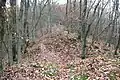 Kleiner Graben auf dem Bergkamm am Abschnittswall