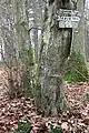 Wegweiser auf dem Beurenkern links am Feldweg von Beurenhof zum prähistorischen Abschnittswall