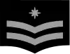 Abteilungskommandant