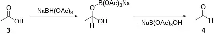 Mechanismus der Gribble-Aminierung Teil 2