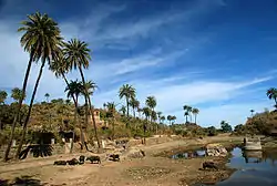 Achalgarh – Bergoase