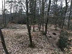 Burgstallberg III. Kleines südliches Burgstallplateau