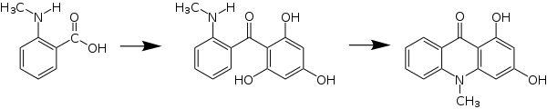 Biosynthese eines Acridonderivats