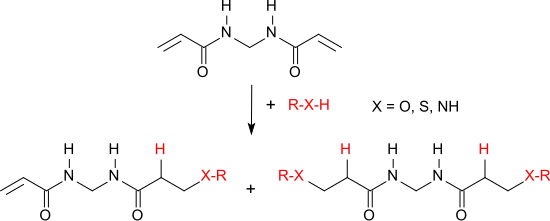 Nukleophile Addition an N,N′-Methylenbisacrylamid