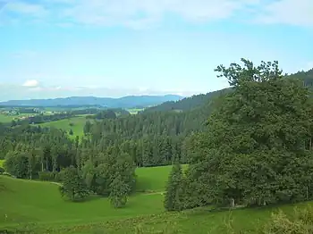Blick vom Nordosthang des Laubenbergs über das Eistobeltalund Gemeindegebiet von Maierhöfen nordostwärts zur Adelegg