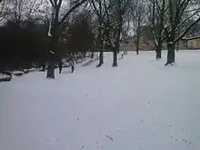 Adlerwiese in Frankfurt-Praunheim, Rodelhang