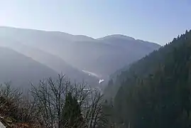 Mittleres Gutachtal zwischen Triberg und Hornberg