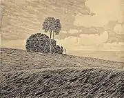 Lämmerwolken 1898
