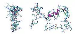 Adrenomedullin