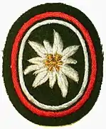 Verbandsabzeichen Gebirgsjägerbrigade 23