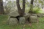 Großsteingrab Wanna 7