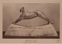 Schwarzer Panther