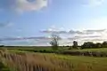 Wiesenlandschaft bei Alkersum