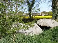 Allée couverte de l'Epine