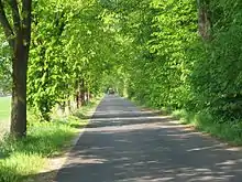 Allee in Wettringen