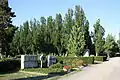 Allee nördlich des großen Friedhofskreuzes