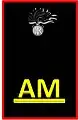 Dienstgradabzeichen Allievo Maresciallo, Maresciallo-Anwärter der Carabinieri