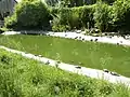 Kleiner Teich in der Parkanlage