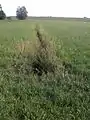 Almbach zwischen den verrohrten Strecken