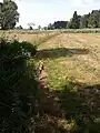 Almbach von der Quelle bis zum Eintritt in den Aufhofener Weiher