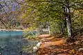Almsee im Herbst