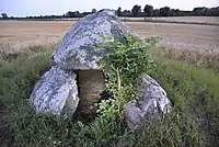 Stenstuen oder Alstrup Jættestue