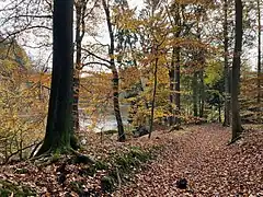 Alte Heerstraße Köln - Dortmund
