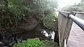 Mündung in die Osterbek