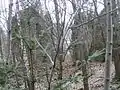 Burgruine Zöch: Blick nach innen