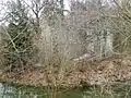 Burgruine Zöch: Wassergraben