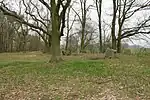 Großsteingrab Altenmedingen 1