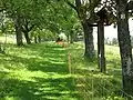 Aufstieg zur Kuppe über den Stationen- und Wanderweg