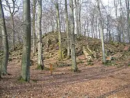 Burgstall