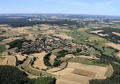 Altfalter mit Schwarzach (2022)