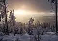 Sonnenuntergang vom Altköniggipfel