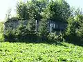 Infanteriebunker Altmatt 2 A 7207