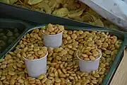 Lupinen